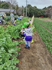 12月11日（月） だいこんぬき