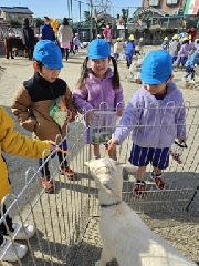 1月28日（火）動物園がやってきた！